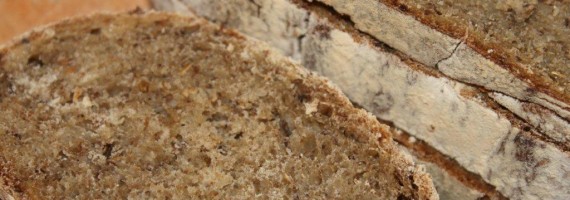Spent Grain Coccodrillo Bread with Brown Ale Spent Grain Coccodrillo Bread with Brown Ale