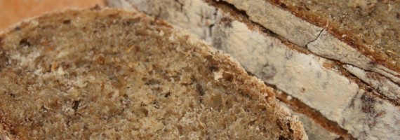 Spent Grain Coccodrillo Bread with Brown Ale