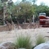 Brew at the Zoo Review