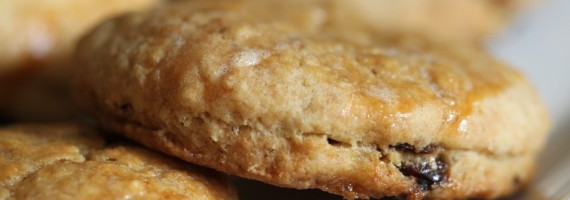 Beer for breakfast: Autumn Maple Oat Scones with Raisins