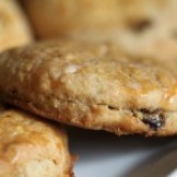 Beer for breakfast: Autumn Maple Oat Scones with Raisins Beer for breakfast: Autumn Maple Oat Scones with Raisins