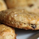 Beer for breakfast: Autumn Maple Oat Scones with Raisins