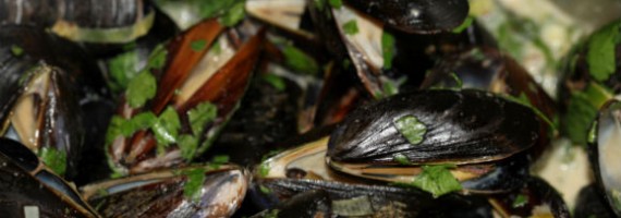 Belgian Golden Ale Steamed Mussels Belgian Golden Ale Steamed Mussels